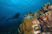 Ambiance Catherine-Bonaire South Bay-20m-20180218-Denis-ADER-DSC_6501_tn